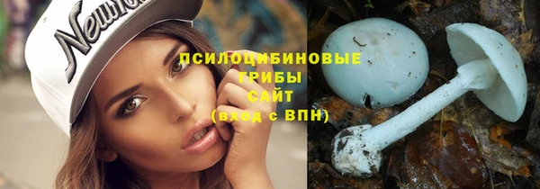 первитин Осинники