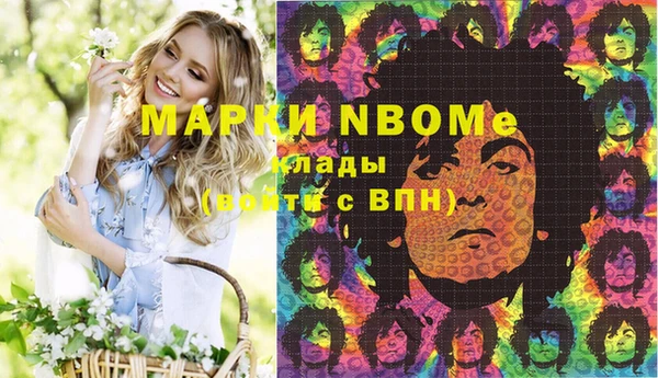 apvp Няндома