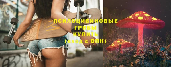 тгк Нязепетровск