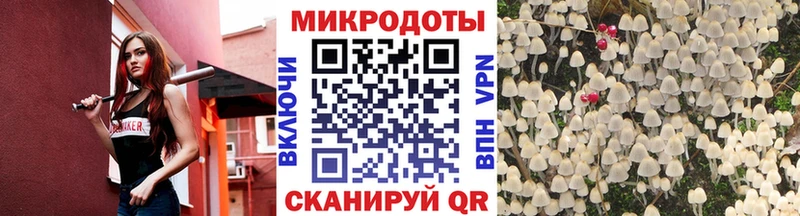 Галлюциногенные грибы мухоморы  закладки  Козьмодемьянск 